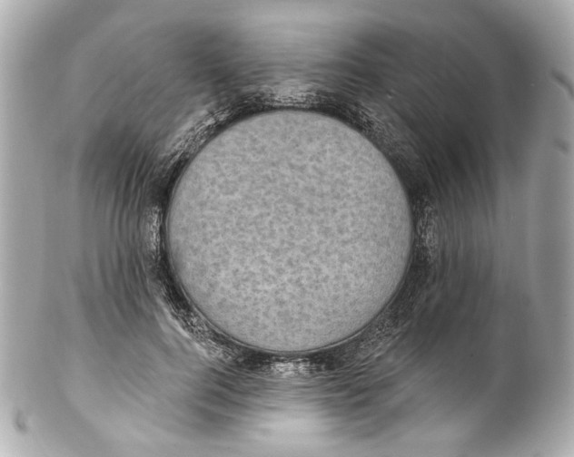 X0000102040744200808151406