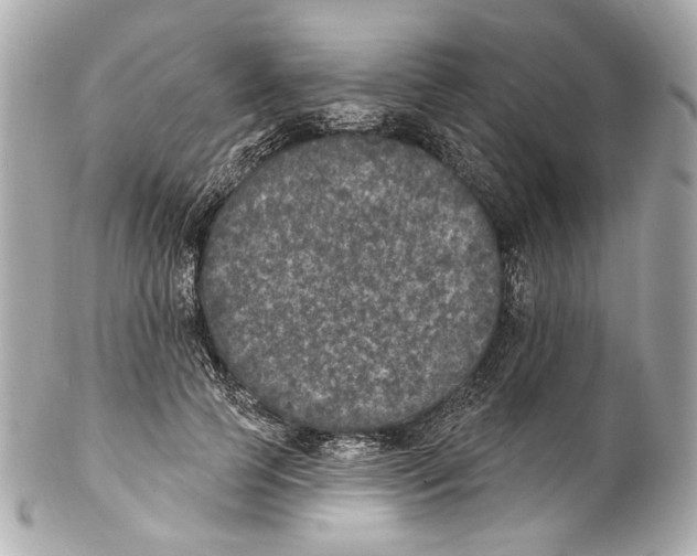 X0000102040745200808151406