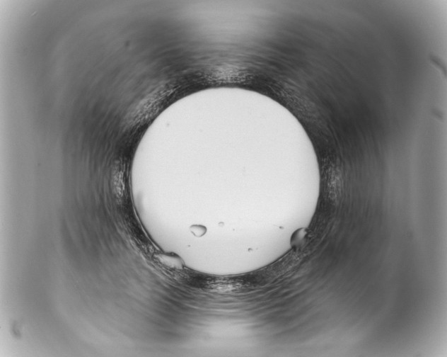X0000102040746200808151406