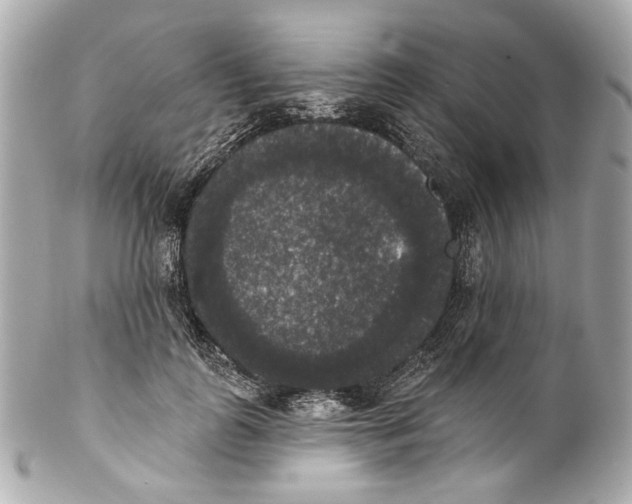 X0000102040747200808151406