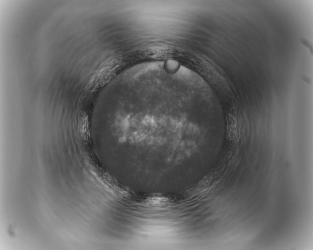 X0000102040748200808151406