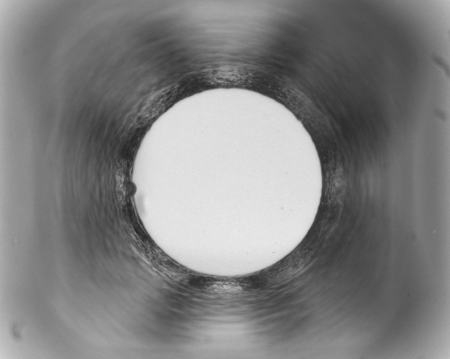 X0000102040749200808151406