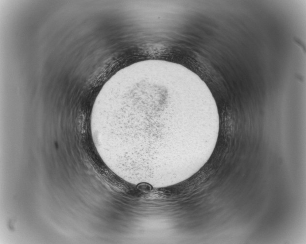 X0000102040750200808151406