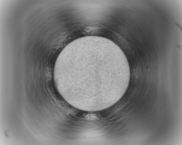 X0000102040751200808151406