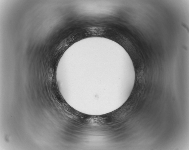 X0000102040752200808151406