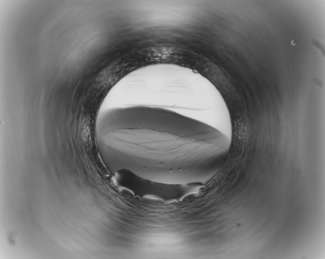 X0000102040754200808151406