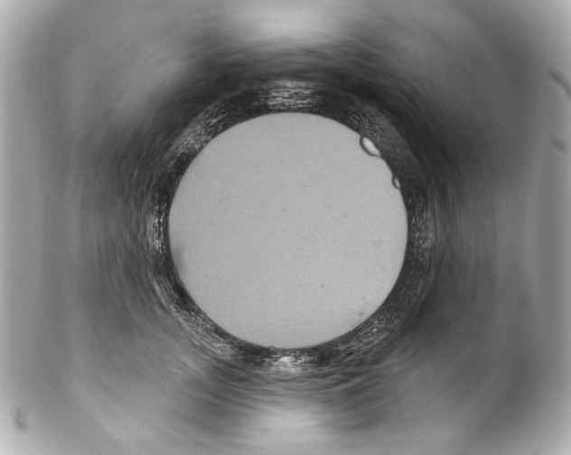 X0000102040755200808151406