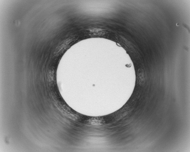 X0000102040756200808151406