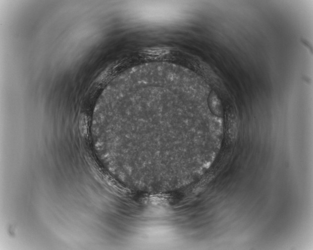 X0000102040758200808151406