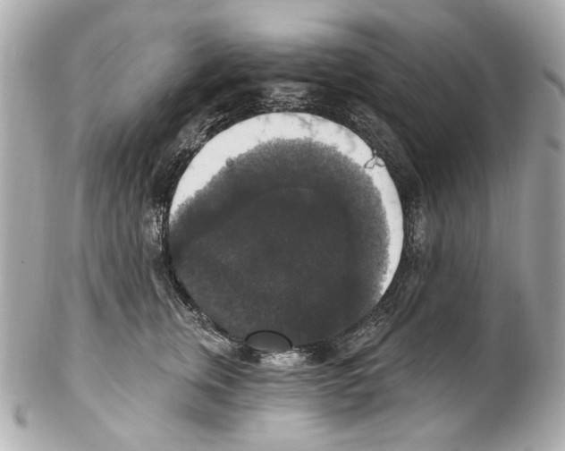 X0000102040759200808151406