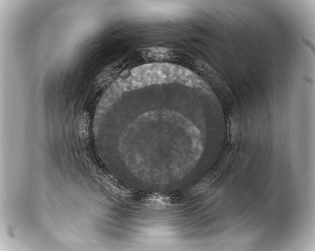 X0000102040760200808151406