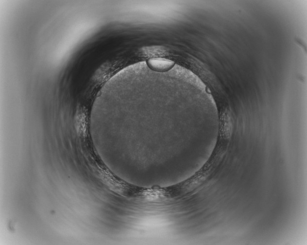 X0000102040762200808151406
