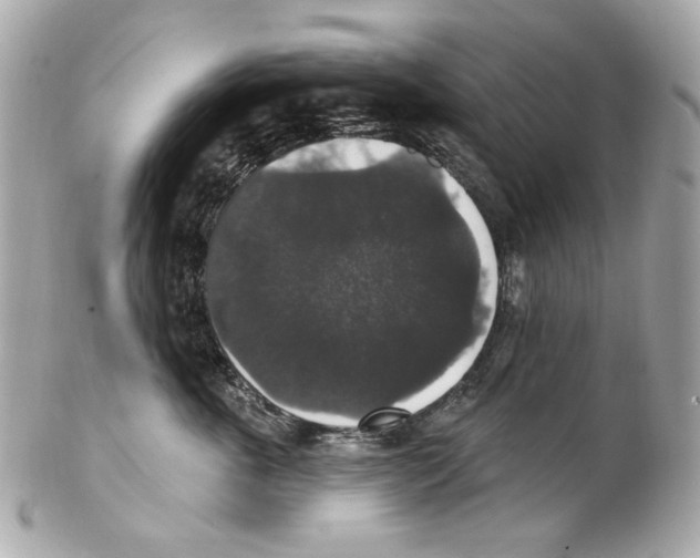 X0000102040763200808151406