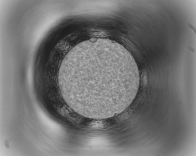 X0000102040764200808151406
