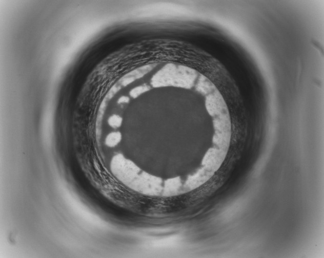 X0000102040765200808151406