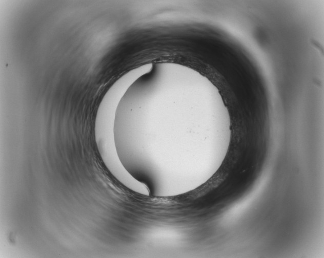X0000102040766200808151406