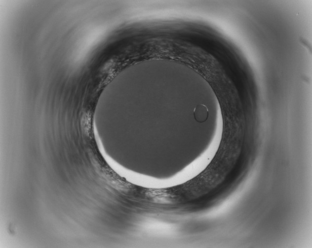 X0000102040767200808151406