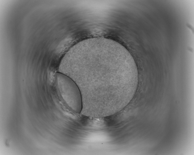 X0000102040768200808151407