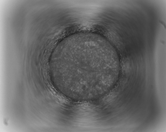 X0000102040769200808151406