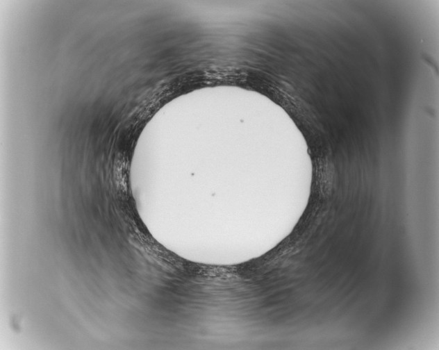 X0000102040770200808151406