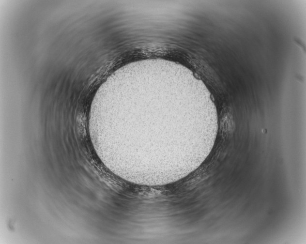 X0000102040772200808151406