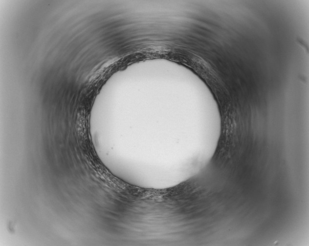 X0000102040773200808151406