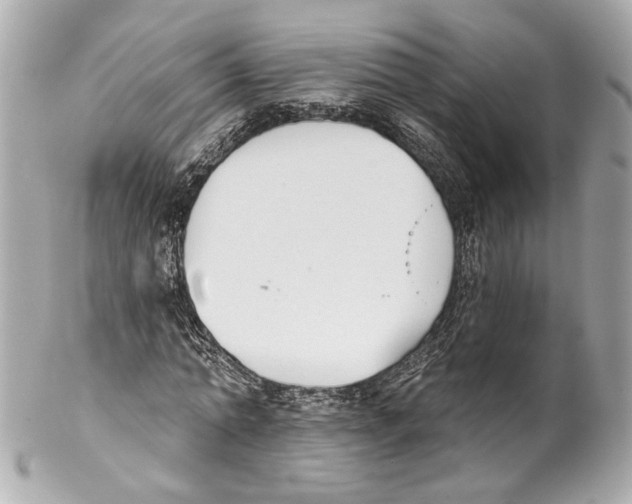X0000102040774200808151406
