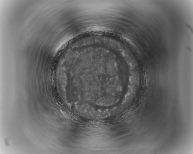 X0000102040775200808151406