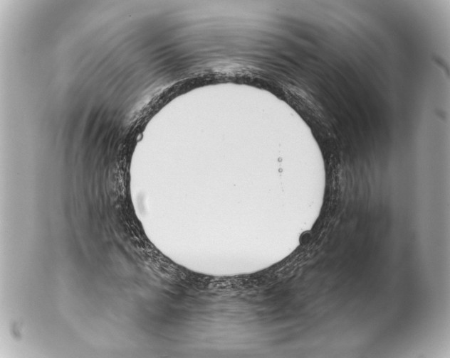 X0000102040776200808151406