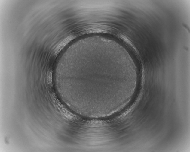 X0000102040777200808151406