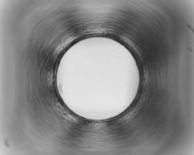 X0000102040778200808151406