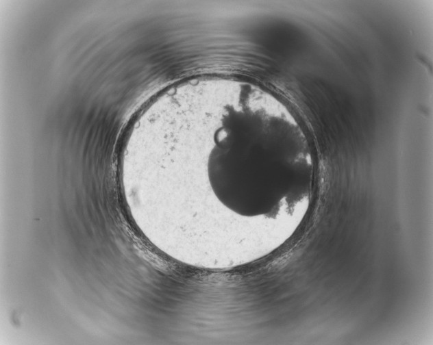 X0000102040779200808151406