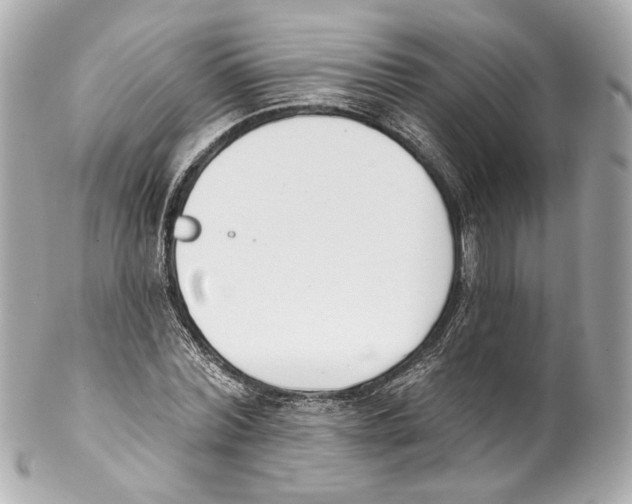 X0000102040780200808151406