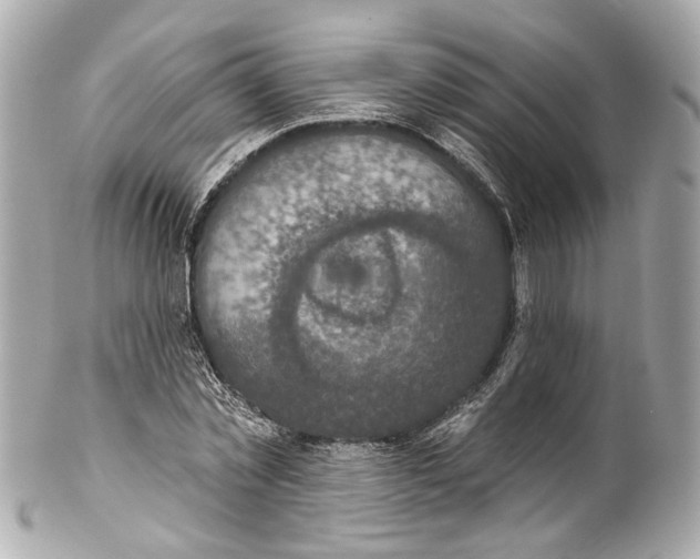 X0000102040781200808151406