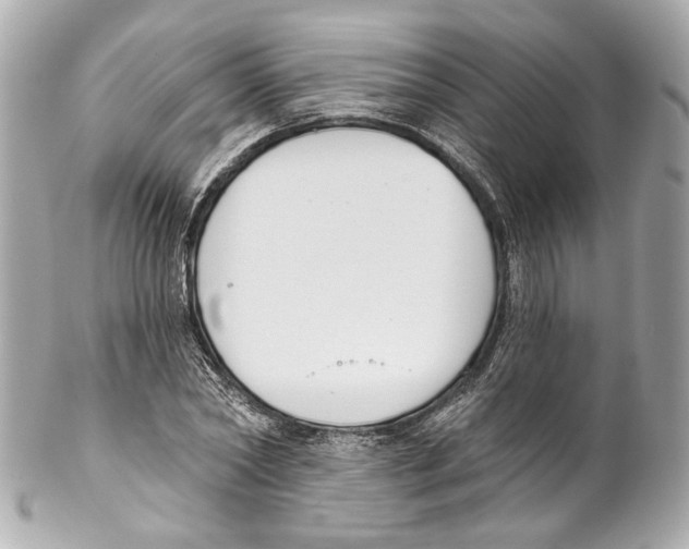 X0000102040782200808151406