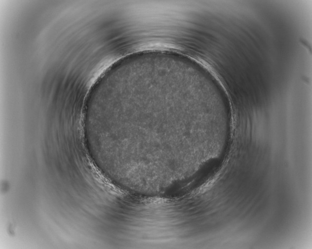 X0000102040783200808151406