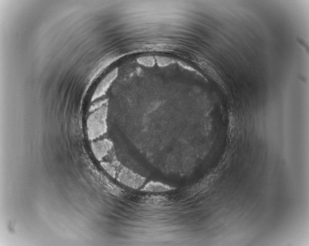 X0000102040784200808151406