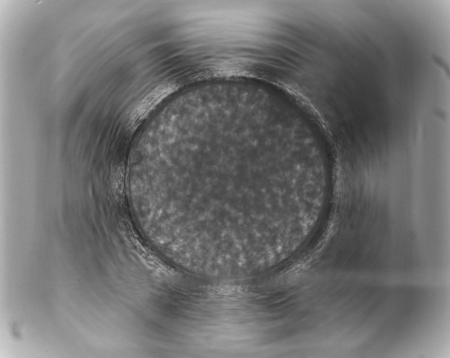 X0000102040785200808151406