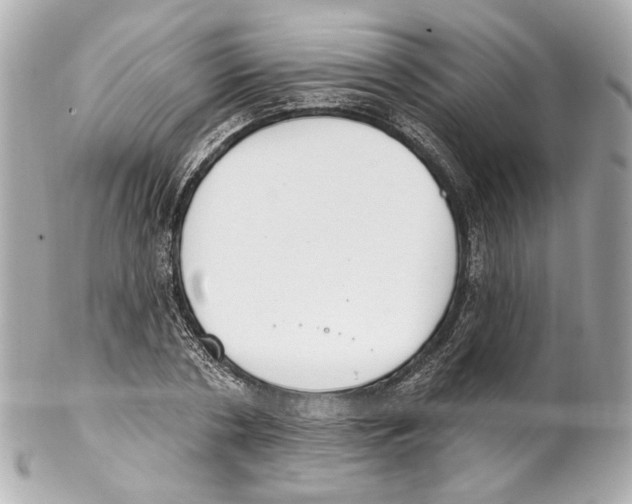 X0000102040786200808151406