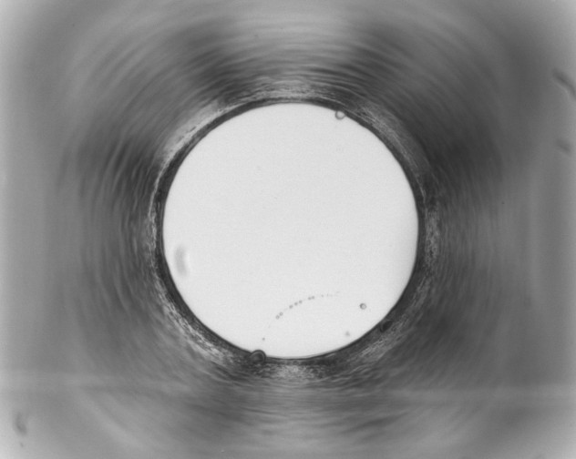 X0000102040787200808151406
