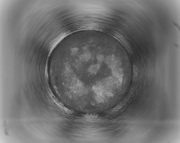 X0000102040788200808151406