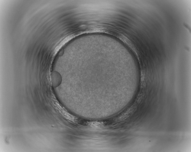 X0000102040789200808151406