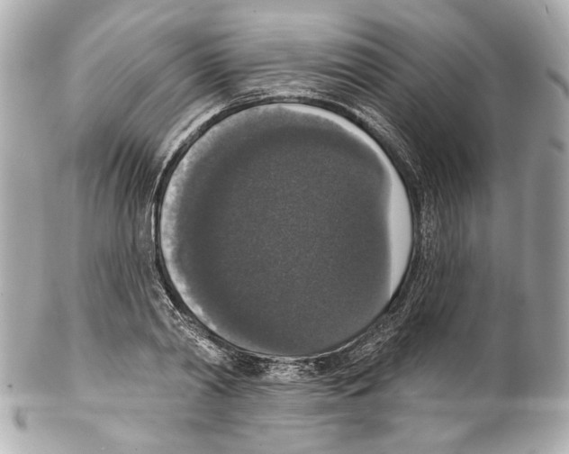 X0000102040790200808151406