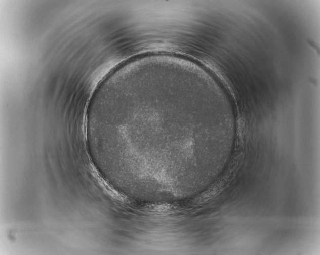 X0000102040791200808151406