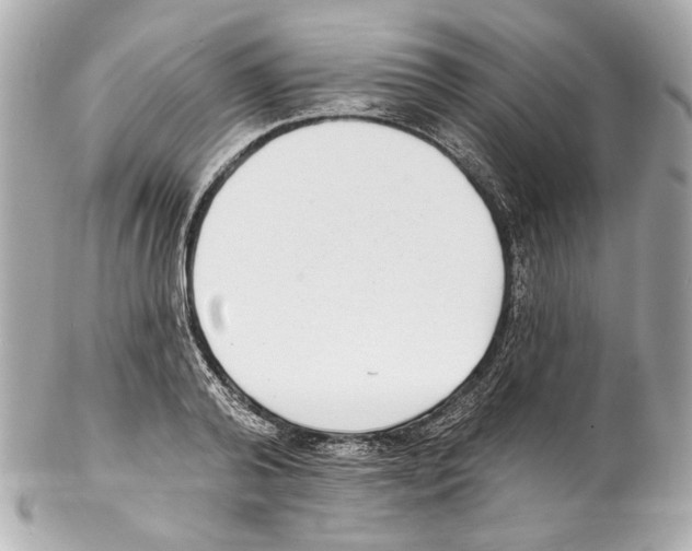 X0000102040792200808151406