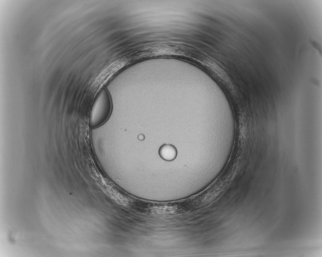 X0000102040793200808151405