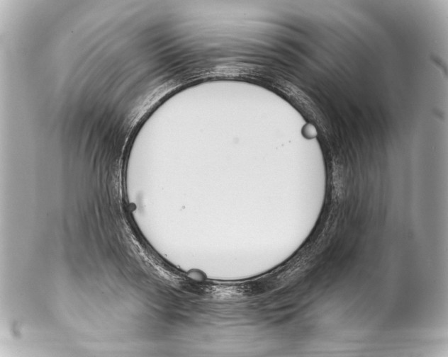 X0000102040794200808151405