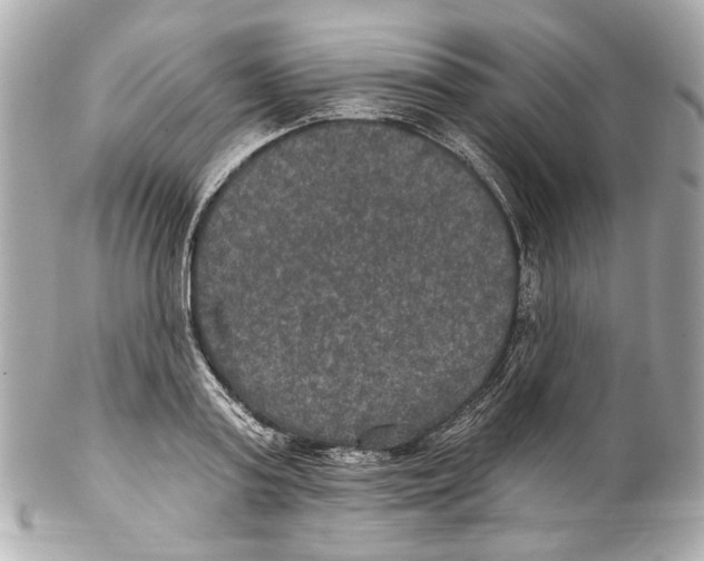 X0000102040795200808151405