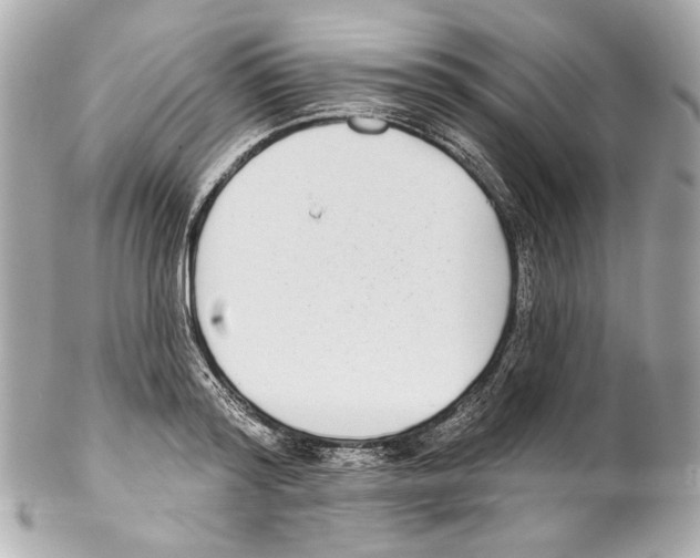 X0000102040796200808151405