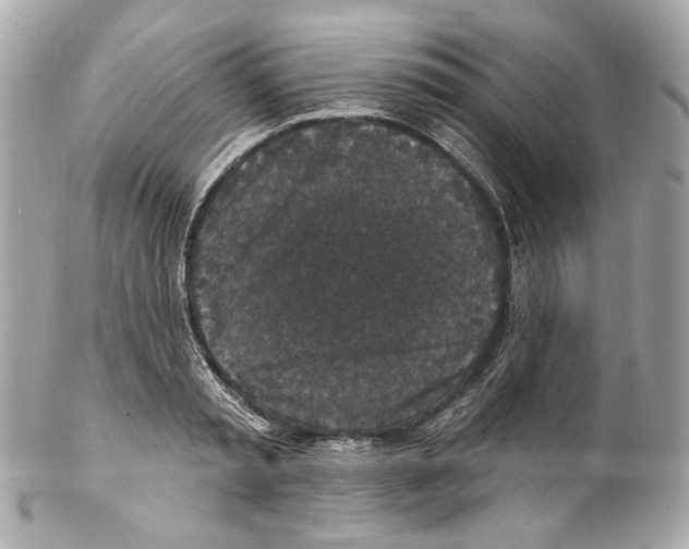 X0000102040797200808151405
